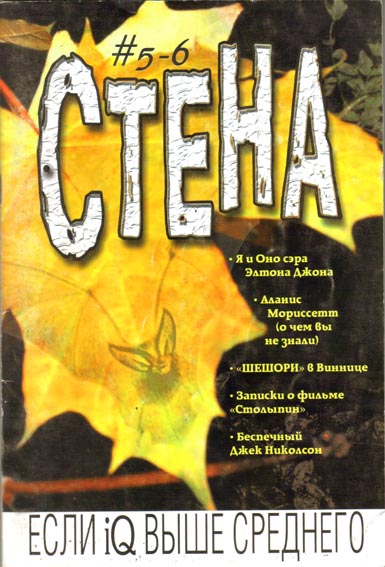 Молодіжний журнал Стіна